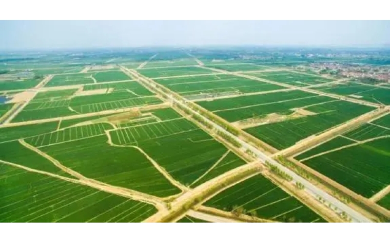 2021年利津縣鹽窩鎮0.7萬畝高標準農田建設項目施工與監理